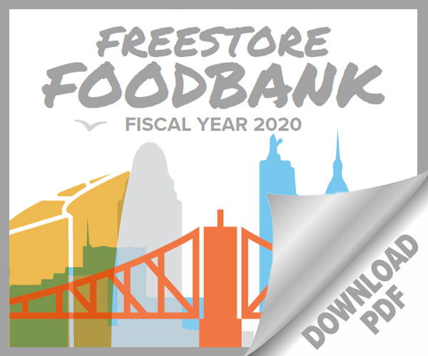 Fiscal Year 2020 Impact Report- Factsheet